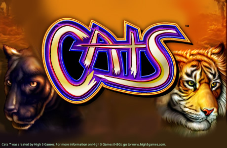 CATS slots in Michigan